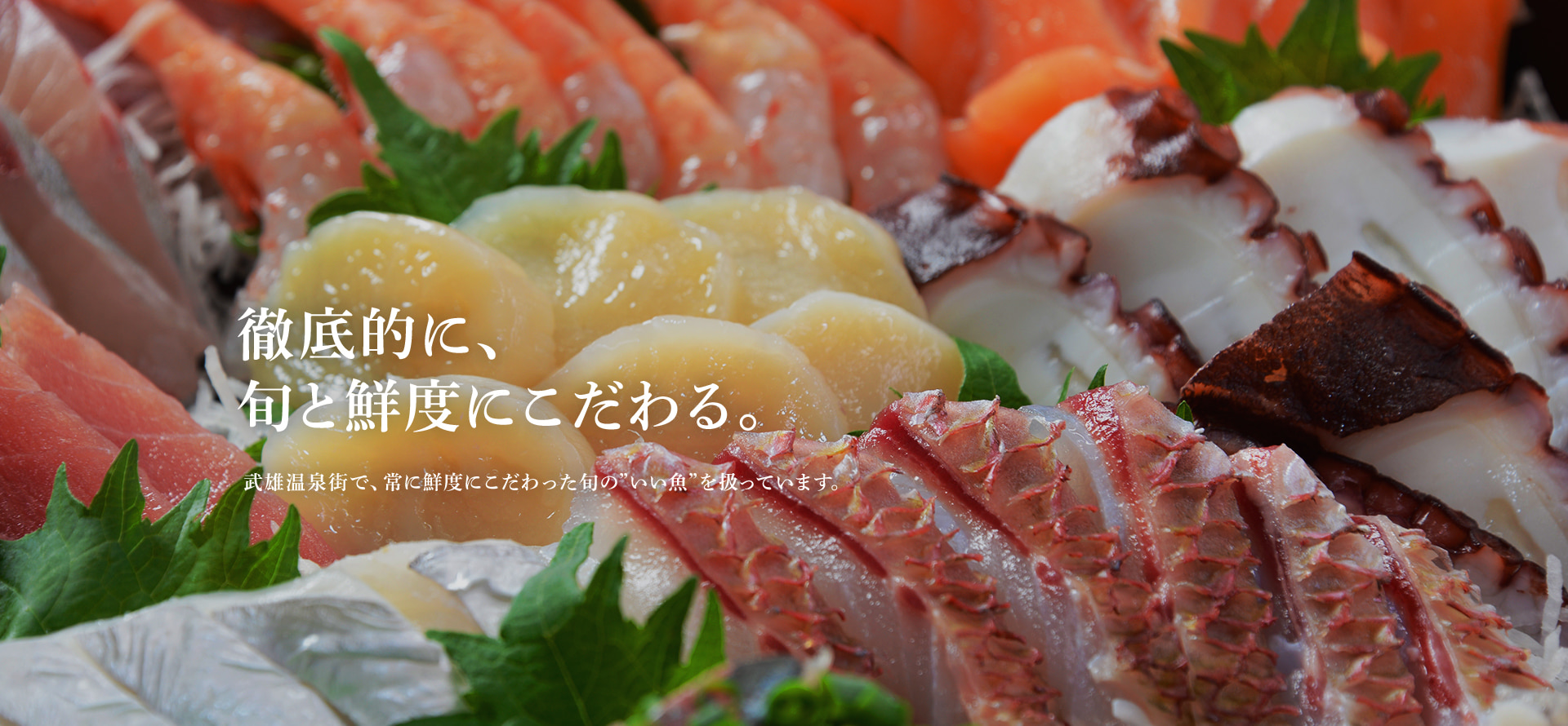 徹底的に、旬と鮮度にこだわる。武雄温泉街で、常に鮮度にこだわった旬の”いい魚”を扱っています。
